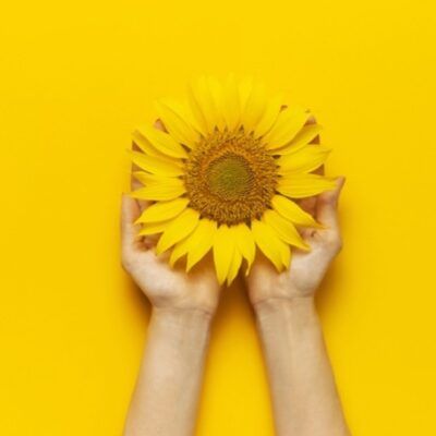 Lasenor's Expansion in Argentina: A Strategic Alliance with Lekigos 3