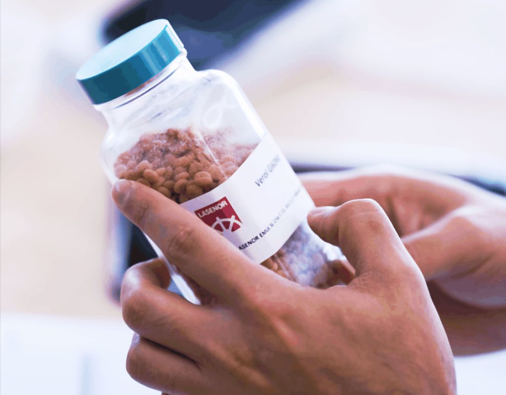 Lasenor BK: Emulsifier Range for Cake and Bakery Mixes