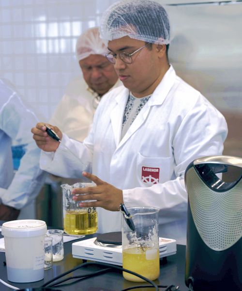 Lasenor BK: Emulsifier Range for Cake and Bakery Mixes