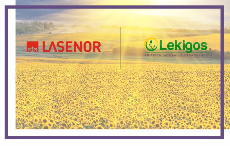 Lasenor's Expansion in Argentina: A Strategic Alliance with Lekigos