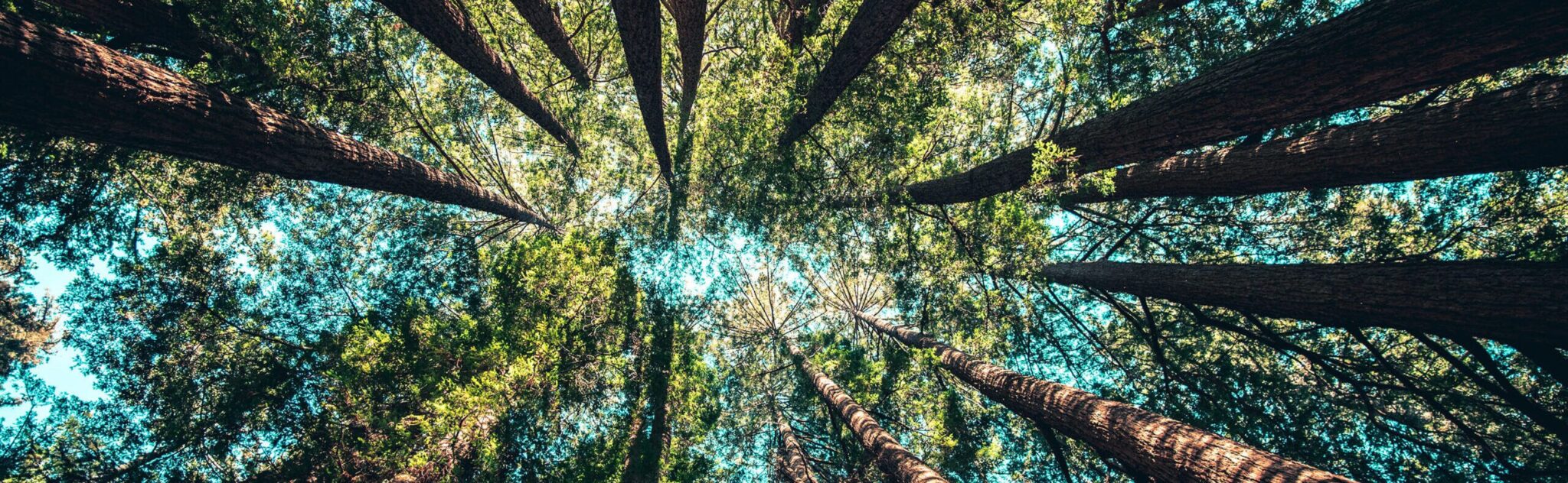 Driving sustainable change