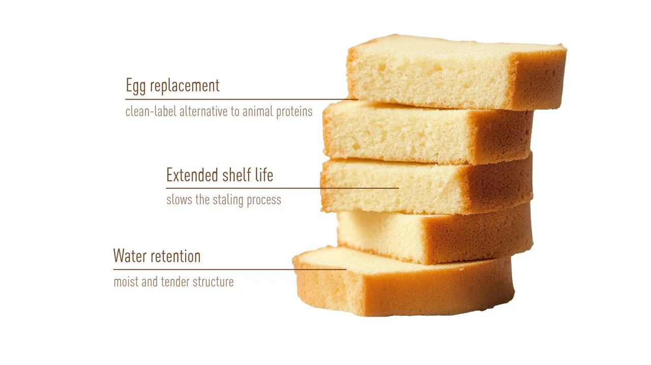 Texturizing Plant Protein for Bakery