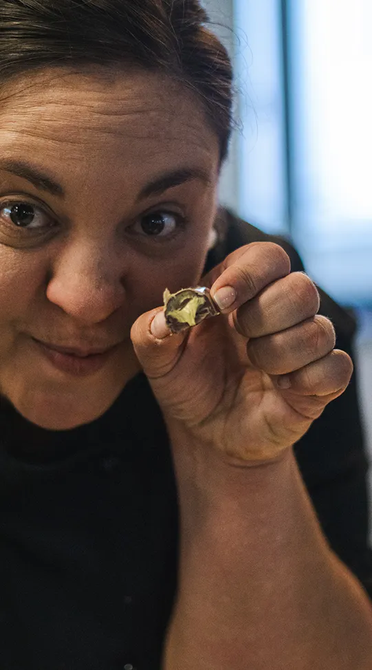 SA Chefs Explore Sustainable Palm Oil with Norte-Eurocao