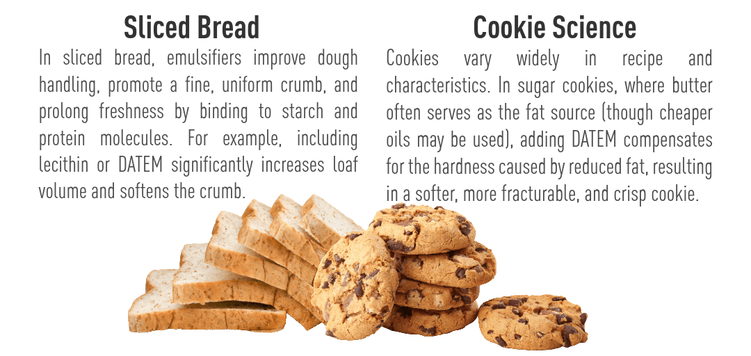Fundamentals of Dough Science