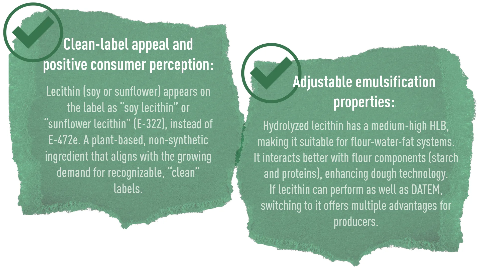 Key Benefits of Lecithin in Bakery Products